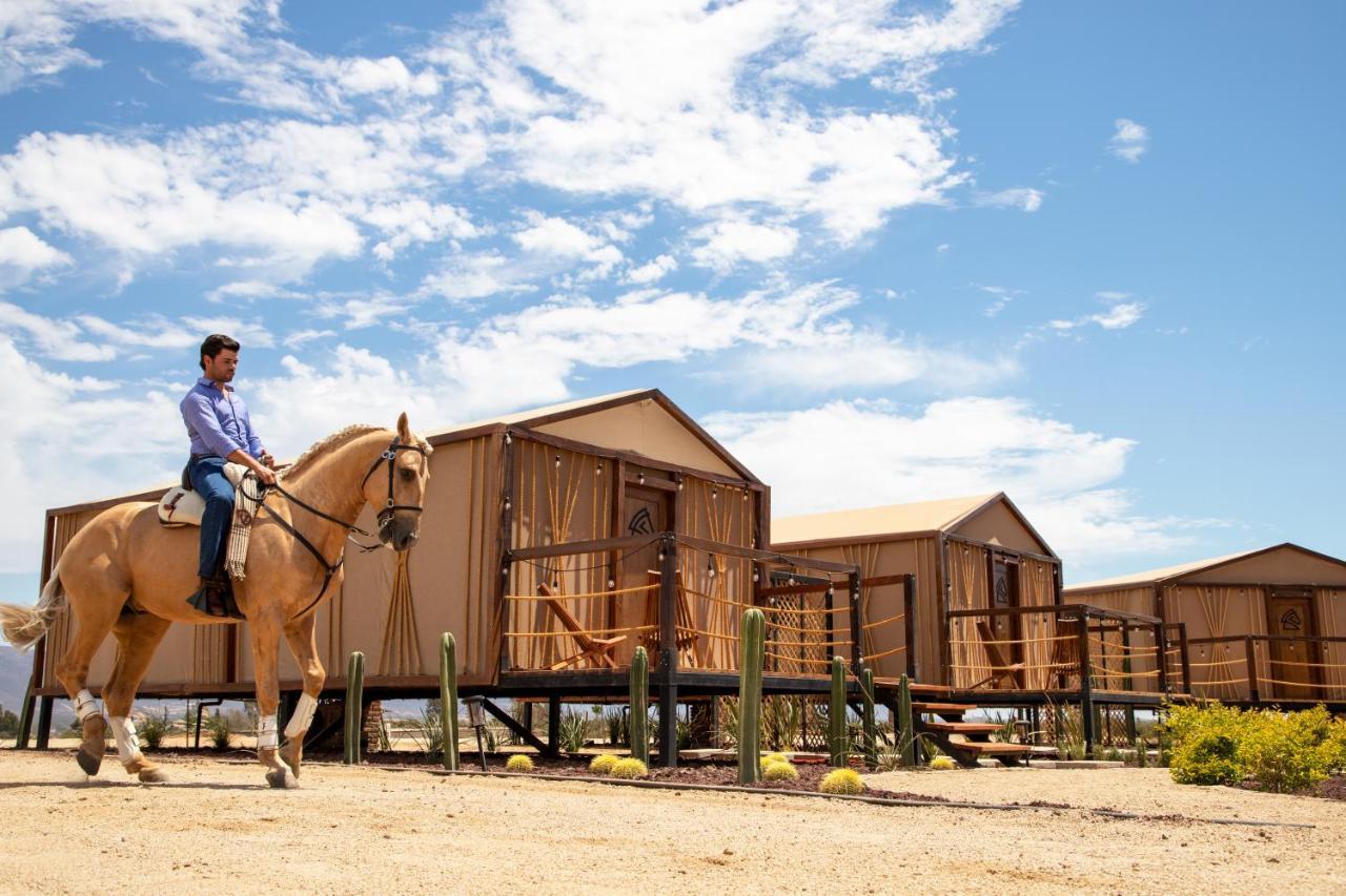 Indomito Resort & Hotel Boutique Valle de Guadalupe Exterior foto